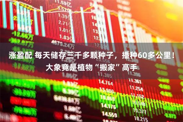 涨盈配 每天储存三千多颗种子，播种60多公里！大象竟是植物“搬家”高手