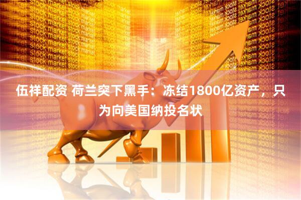 伍祥配资 荷兰突下黑手：冻结1800亿资产，只为向美国纳投名状