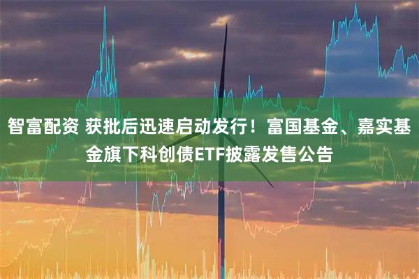 智富配资 获批后迅速启动发行！富国基金、嘉实基金旗下科创债ETF披露发售公告