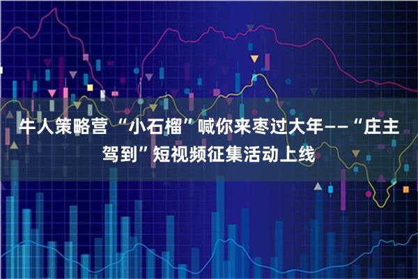 牛人策略营 “小石榴”喊你来枣过大年——“庄主驾到”短视频征集活动上线